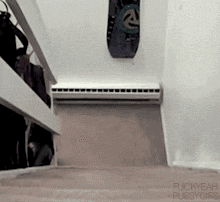 IMG_7785.GIF