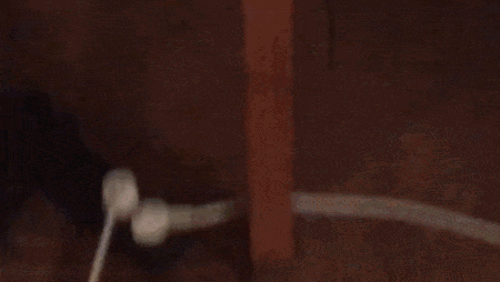 IMG_7784.GIF