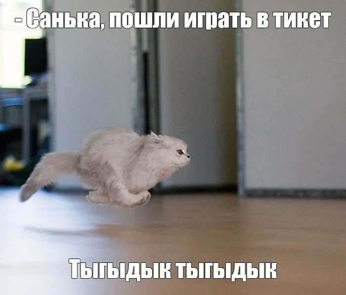 IMG_7789.JPG