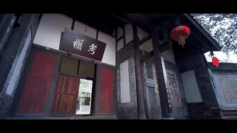 IMG_6367.GIF