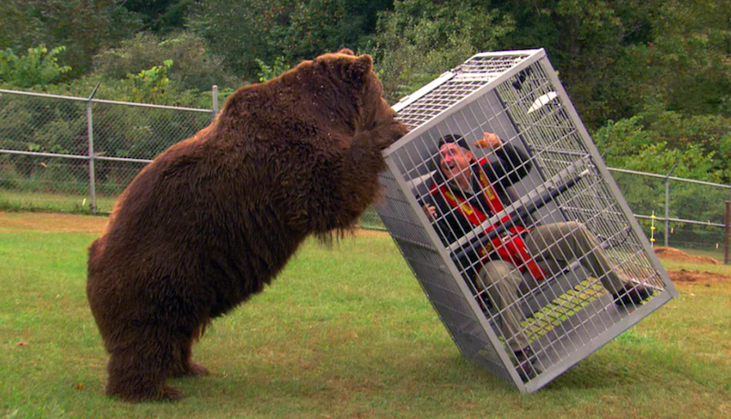 ford-bear-cages-aluminum-4.png