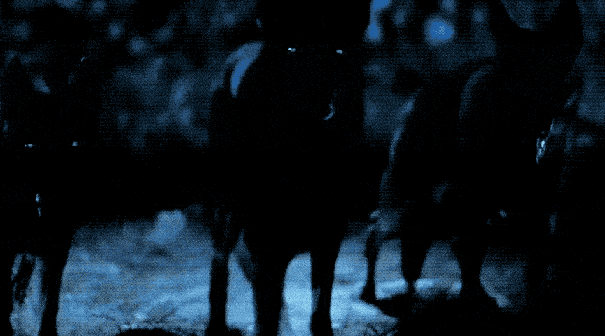 IMG_0032.GIF