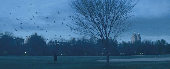 IMG_4922.GIF