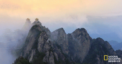 IMG_2915.GIF