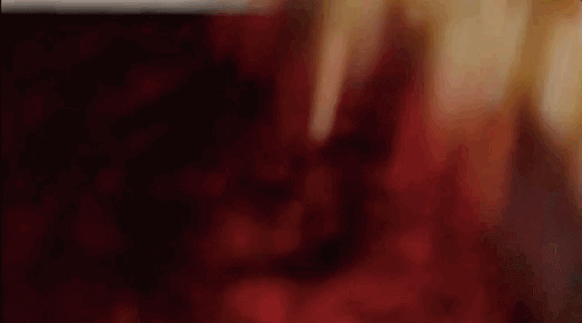 IMG_7022.GIF