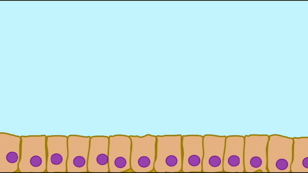 IMG_7789.GIF