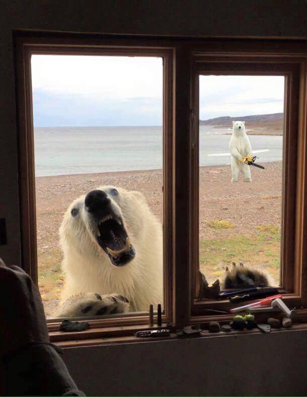 vQAKdAQ.jpg