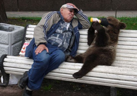 russia-bears-streets-13.jpg