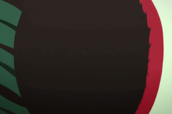 11c.gif