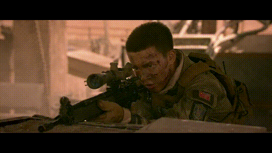 13.gif