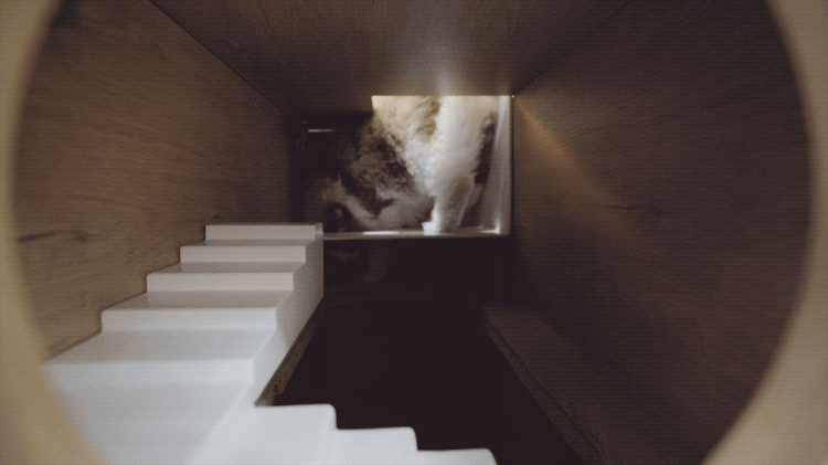 IMG_8213.GIF