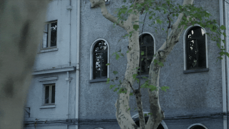 IMG_8226.GIF