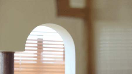 IMG_8232.GIF