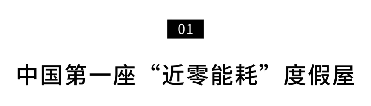 IMG_8238.PNG