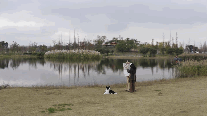 IMG_8292.GIF