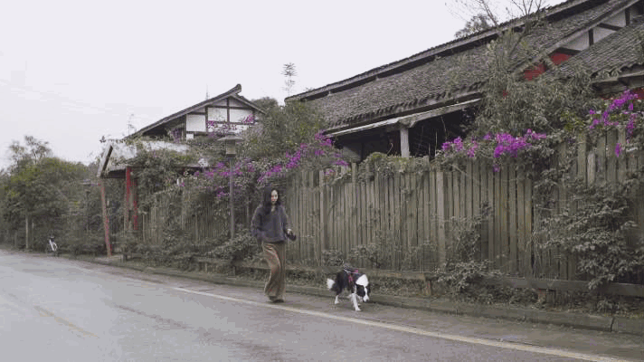 IMG_8300.GIF