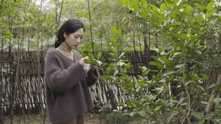 IMG_8294.GIF