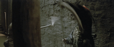 IMG_9913.GIF