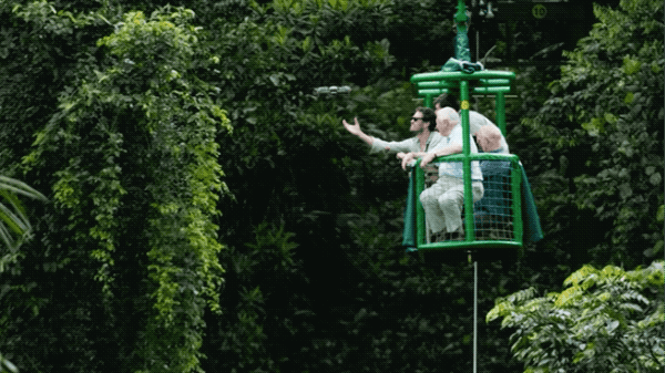IMG_2421.GIF