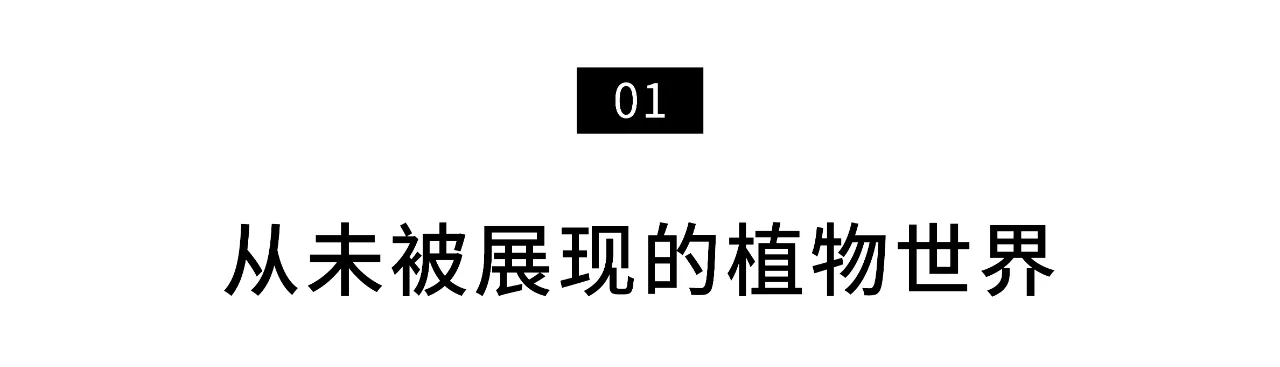 IMG_2438.PNG