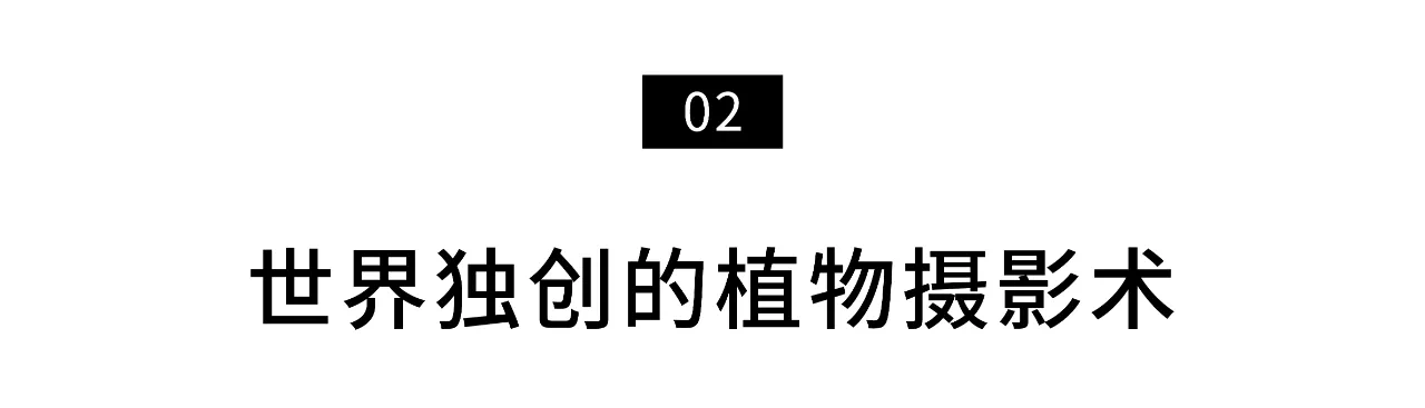 IMG_2450.PNG