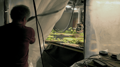 IMG_2453.GIF