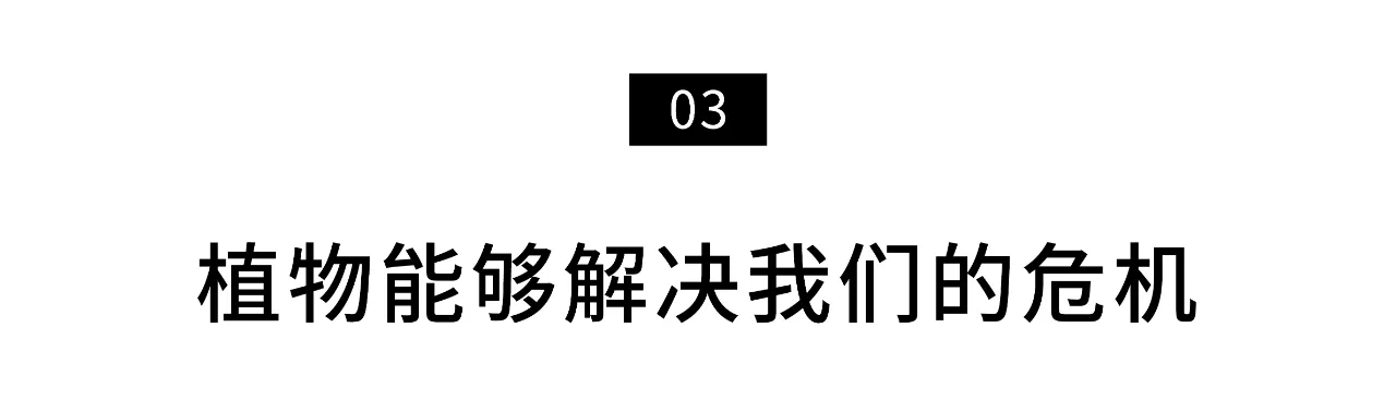 IMG_2458.PNG