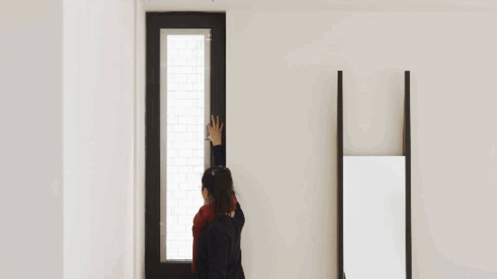 IMG_2509.GIF