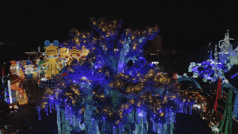 IMG_3176.GIF
