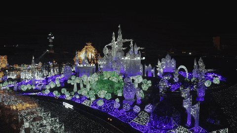 IMG_3180.GIF
