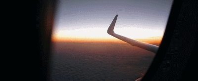 IMG_3365.GIF