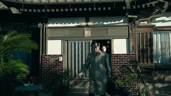 IMG_3446.GIF