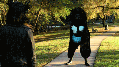 IMG_3592.GIF