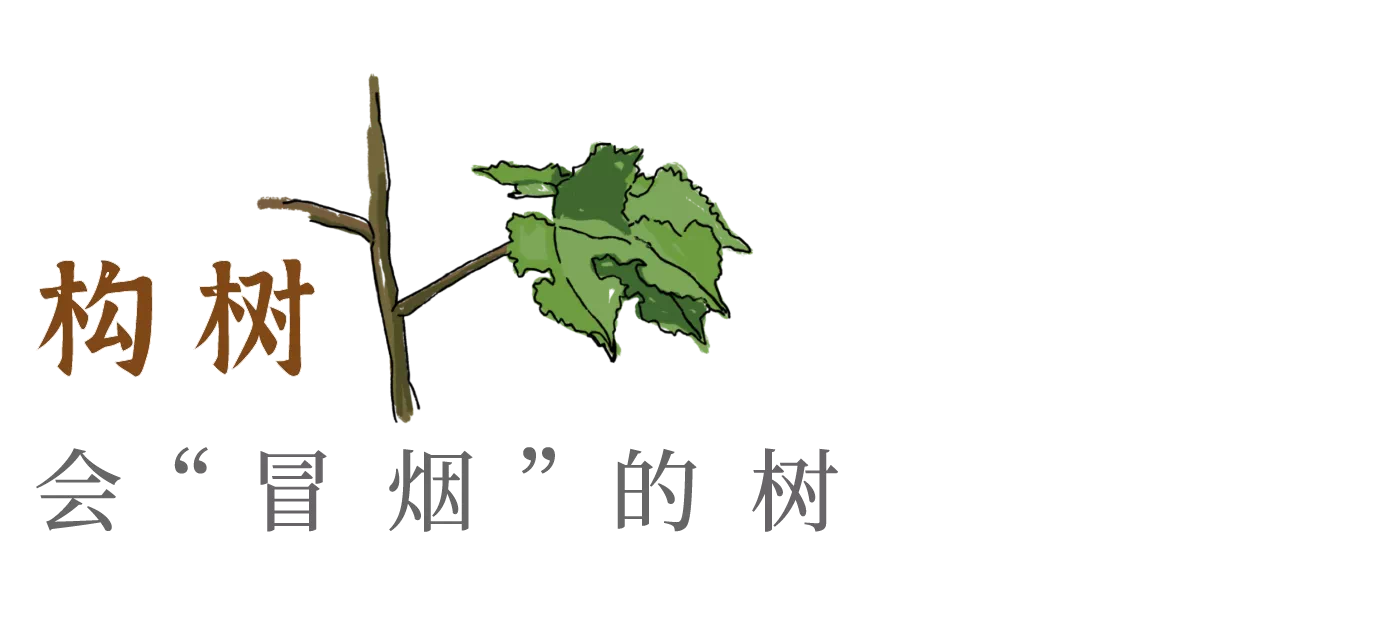 IMG_3709.PNG