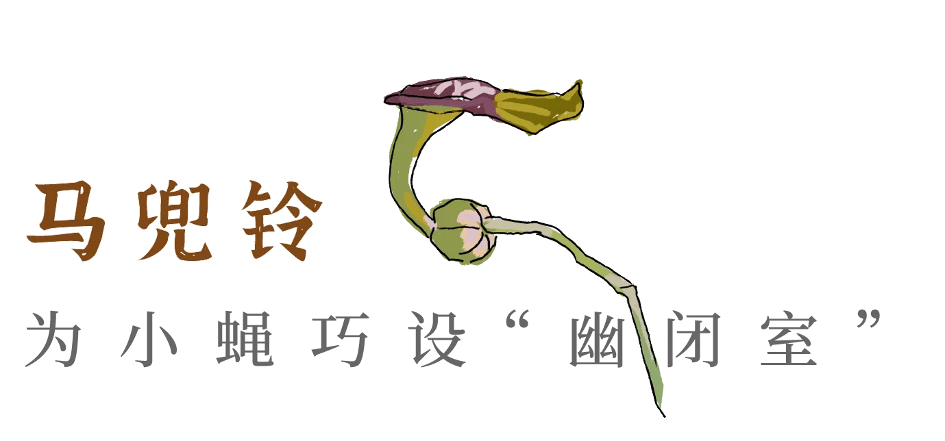 IMG_3715.PNG