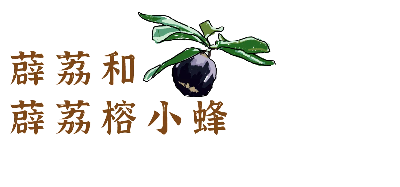 IMG_3730.PNG