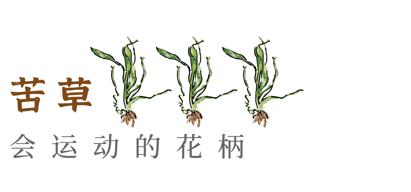 IMG_3721.PNG
