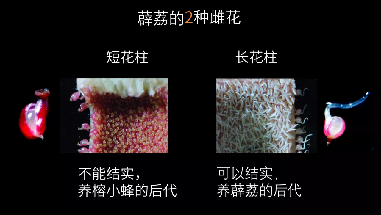 IMG_3734.PNG