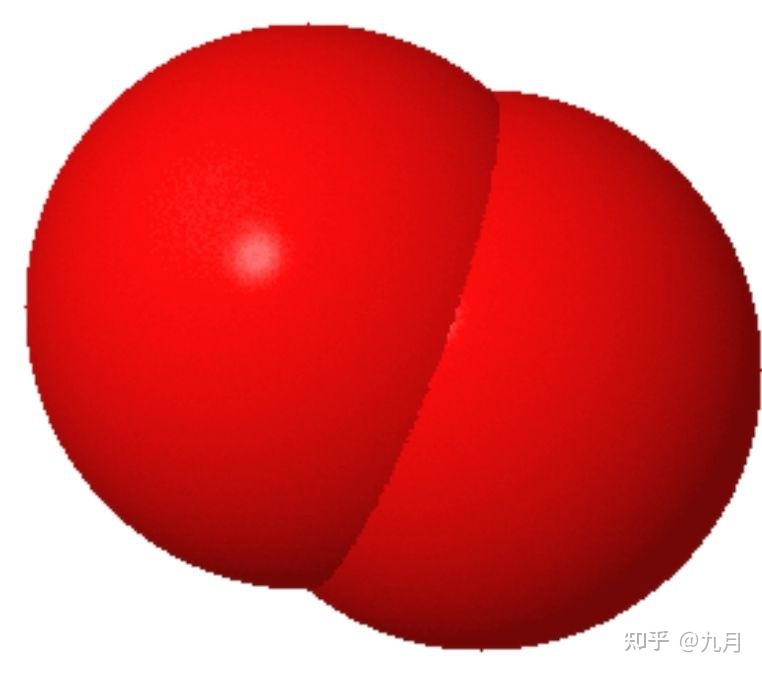 22.jpeg 22.jpeg