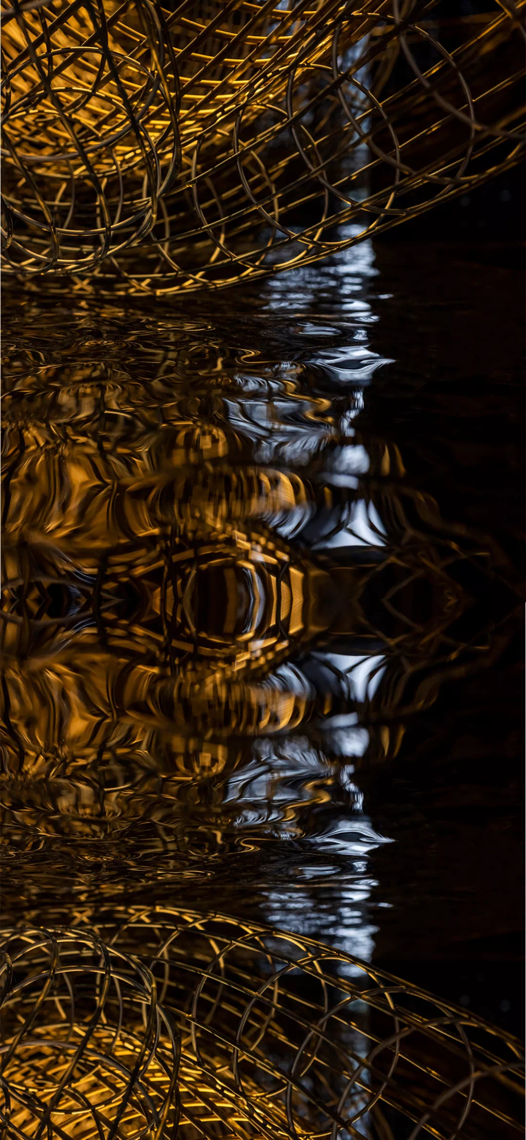 IMG_5151.PNG
