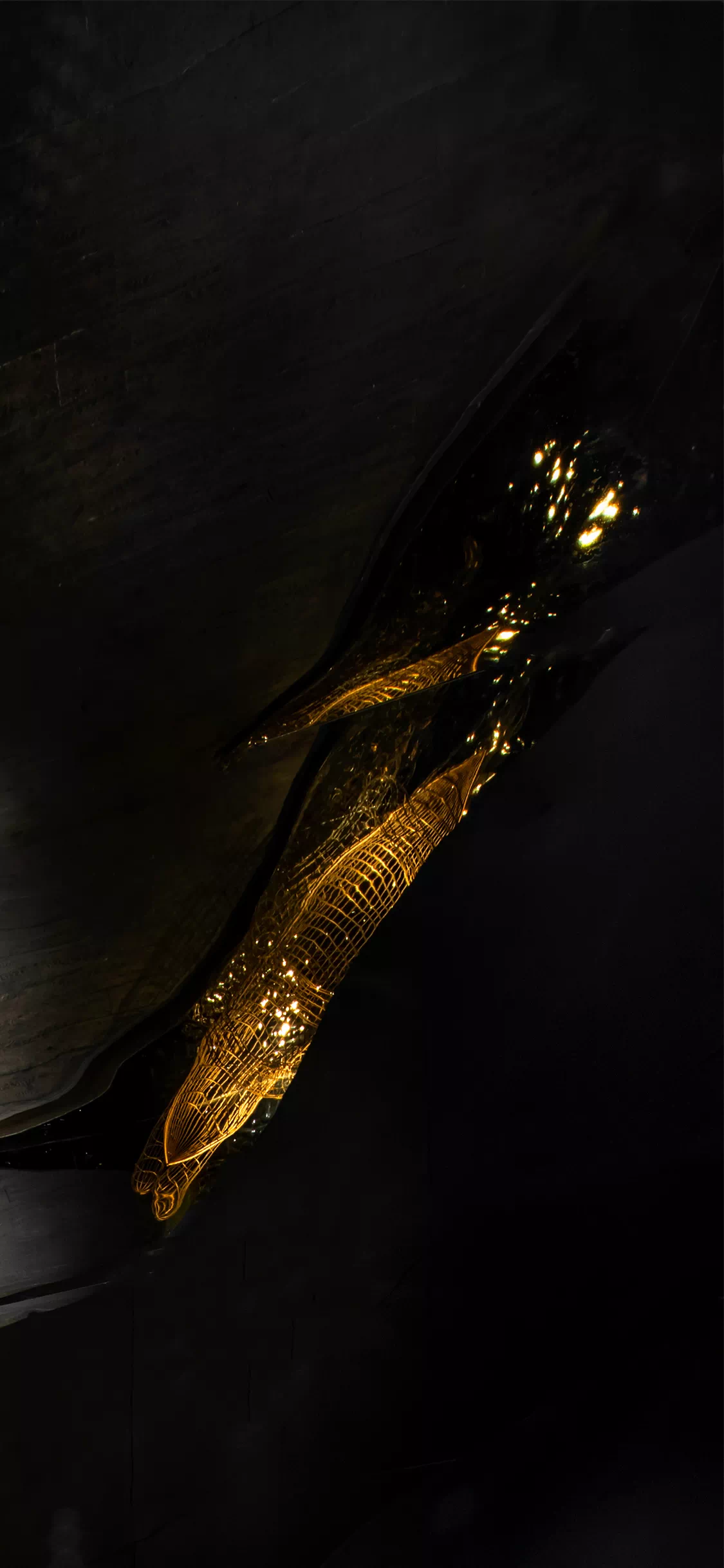 IMG_5170.PNG