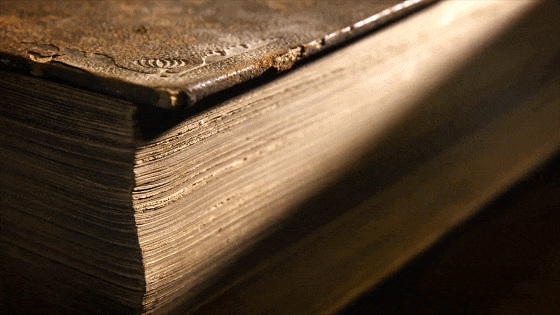 IMG_5346.GIF