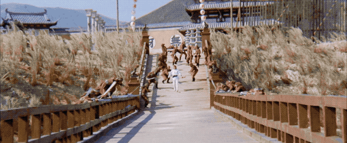 IMG_8619.GIF