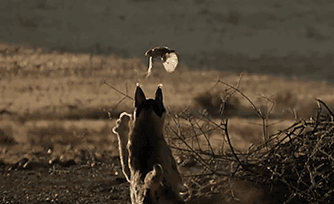 3.gif 3.gif