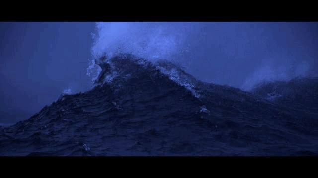 IMG_8129.GIF