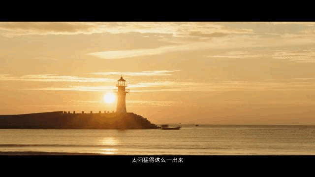 IMG_8131.GIF