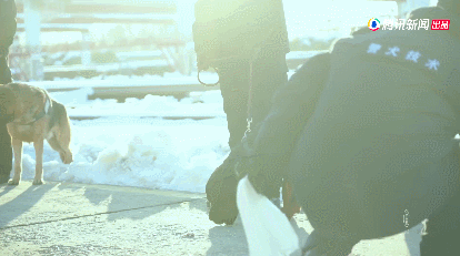 IMG_7550.GIF
