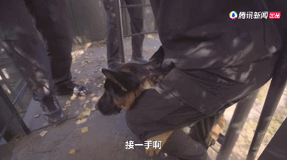 IMG_7556.GIF