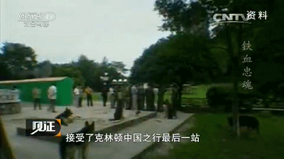 IMG_7564.GIF