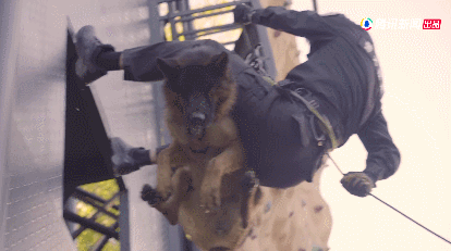 IMG_7559.GIF